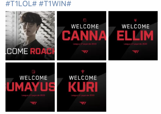 供了信心 供了信心