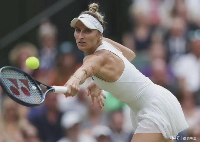 的战术安排 的战术安排